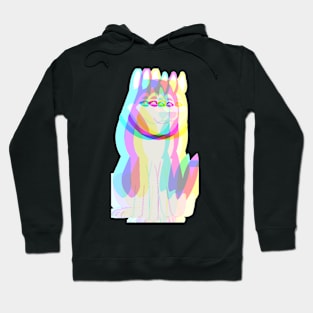 Radiate Dog Hoodie